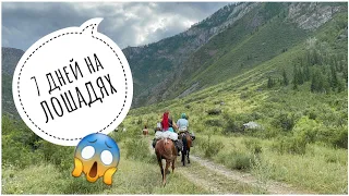 Конный поход по Алтаю | Я упала с лошади