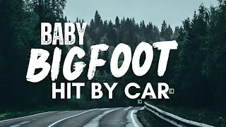 Baby BIGFOOT Hit By Car On Mountain Side | BIGFOOT ENCOUNTERS PODCAST