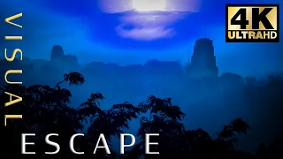 Jungle Sounds for 7 Hours - Exotic Jungle sounds for relaxation and sleep -Ancient Tikal Mayan Ruins