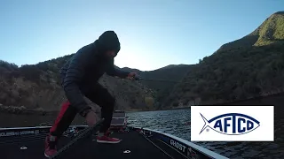 Pyramid Lake Vertical Jigging Striper Fishing ; Using Lowrance Active Target 2