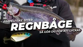 Isfiske efter regnbåge – så gör Sveriges bästa fiskeguide!