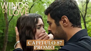 Winds of Love Episode 87 | Rüzgarlı Tepe 87. Bölüm Fragmanı-(Colina ventosa) capítulo 87 PROMO 2