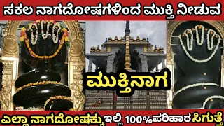 Mukti Naga Temple Ramohalli ಎಲ್ಲಾ ನಾಗದೋಷಕ್ಕು ಇಲ್ಲಿ 100%ಪರಿಹಾರ ಸಿಗುತ್ತೆ ಕಾರಣ ಈ ಮೂಕ್ತಿನಾಗ..?