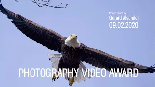 Photography | Photography photos awards | Nature Photography Competition 2020 | 09.02.2020