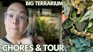 Terrarium update and chores | Plant with Roos