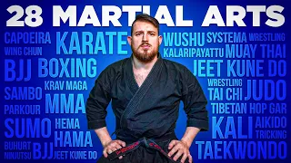 What I Learned from 28 Martial Arts