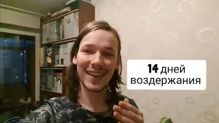 14 дней воздержания