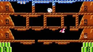 Ice Climber NES - Real-Time Playthrough