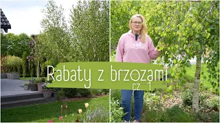 Zanim założysz rabatę z BRZOZAMI 🌳 Co rośnie na moich rabatach z brzozami❓Na co warto zwrócić uwagę