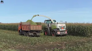 Новый CLAAS JAGUAR 850 в хозяйстве