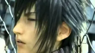 Lightning   Noctis   Fall for you