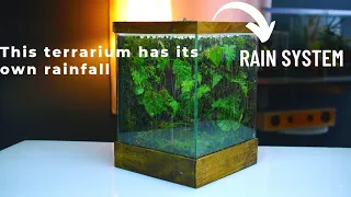 i made a terrarium rain garden in a glass tank | rainfall paludarium