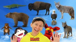 North American Wild Animals - What Do You See? Song  | Find It Version | Dream English Kids