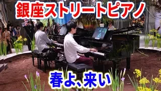【銀座ストリートピアノ】「春よ、来い」を演奏してみた【よみぃ】Street Piano performance in Japan.