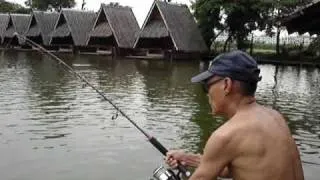 Giant Mekong Fishing Great  Fishing!!! (Thailand)