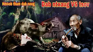 Dab neeg dab ntxaug thiab tsov..14/10/2022