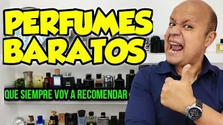 Perfumes BARATOS que SIEMPRE VOY a RECOMENDAR 😍👌 Top 7