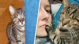 Woman nervously adopted a blind shelter cat. Then there were surprises.