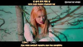 [MV] PIXY (픽시) - Wings Sub Indo (Han/Rom/Ina) Colorcoded