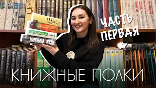 📕 Что находится на моих КНИЖНЫХ ПОЛКАХ? | Тур по домашней библиотеке