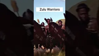 Zulu Warriors #shorts #zulu #war #warmovie