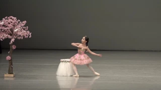 2017 Korea Ballet - K-PROBA  제6회 한국프로발레협회 콩쿨 초등부 중학년 "특상" 봄을 품은 궁 41권 린
