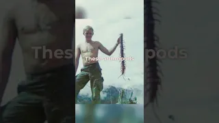 Scary Encounter: US Soldier Faces Giant Jungle Centipede in Vietnam #shorts