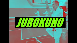 Shotokan kata Jurokuho. Dormenko Andrey 8 dan ISKF