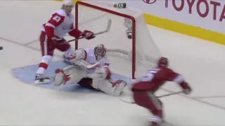 The NHL's Best Saves (HD)