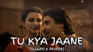 Tu Kya Jaane - Perfectly [Slowed x Reverb]