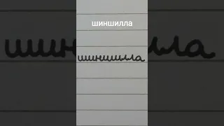 Russian cursive practice #1 "| Writing "chinchilla" #shorts