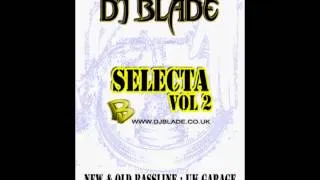 Garage & Bassline Audio Mix By DJ Blade #11