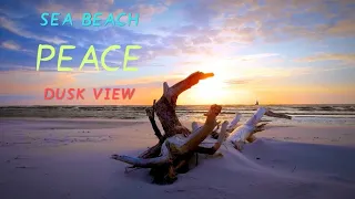 Meditation Music 🎶 Soothing Sound | Sea Beach 🏖️ • Relaxing Music | Stress Relief • Dusk View...