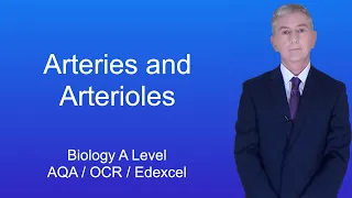 A Level Biology Revision "Arteries and Arterioles"