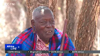 Indigenous knowledge helping Kenyan community cope with changing weather patterns