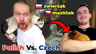 Polish Czech Conversation | Our Pets | Slavic Languages Comparison