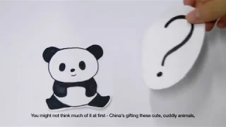 China's Policy of Panda Diplomacy