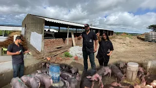 VISITAMOS A CONSTRUÇÃO/ VENDEMOS LOTE COMPLETO DE MARRANS / ESTAMOS ESPERANDO MATRIZES DA SÃO ROQUE