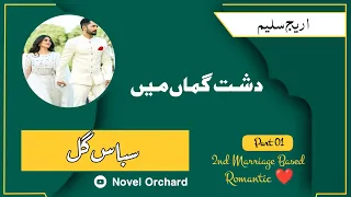 Dasht e Guman mein|Subas Gull|2nd Marriage Based Romantic ❤️|Part 1|Narrator Areej Saleem 😍