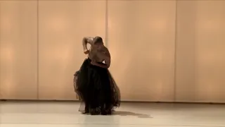 NULL vertigo dance company (вырезка)