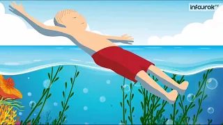Видеоурок Безопасность на воде в летний период