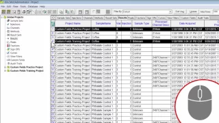 Comparing Results from Different Projects in Empower