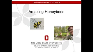 Meet Us in the Garden: Raising Honeybees