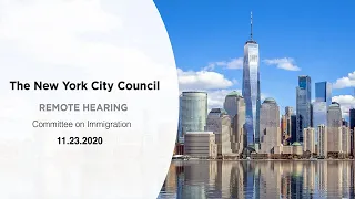 The New York City Council's Committee on Immigration Remote Hearing (November 23rd 2020)