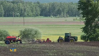 К началу июня упоровские аграрии завершают яровой сев