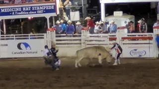 Medicine Hat, Alberta  Bull Riding Highlights