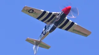 P51D Mustang ~ Pure V12 Merlin Symphony No Announcer