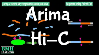 Arima Hi-C | Hi-C Method | Conformation Capture |