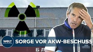 Atomenergiebehörde IAEA besorgt nach AKW-Beschuss | KRIEG in der UKRAINE