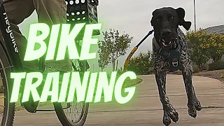 Teach Your Dog to Bike With You